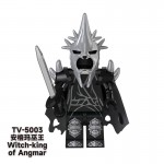 TV5003 