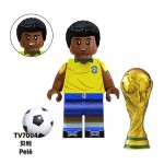 TV7004 